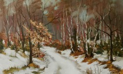 Březen – zima Sněžník