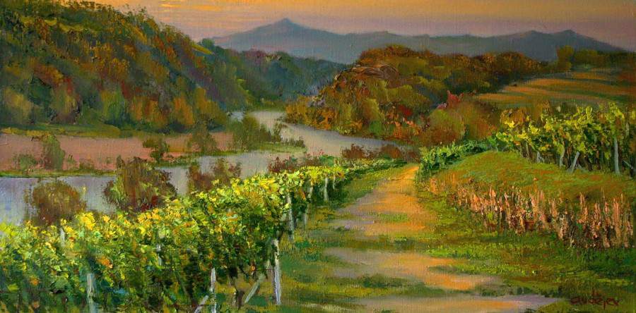 Vinice ve Velkých Žernosekách