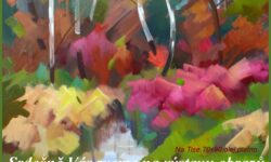 Výstava obrazů v Ústi nad Labem 2021/ 5.11-15.12