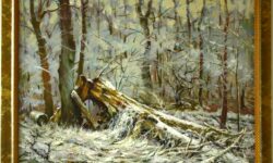 Sojka v zimném lése.