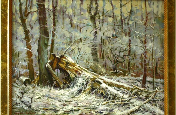 Sojka v zimném lése.