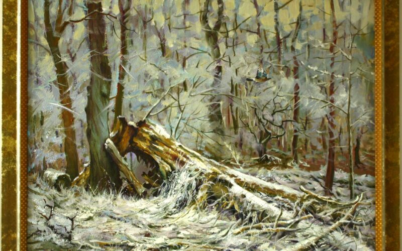 Sojka v zimném lése.