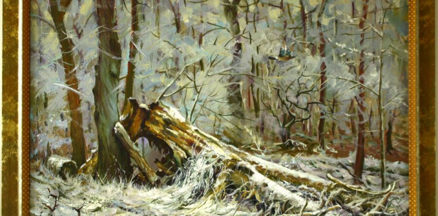 Sojka v zimném lése.